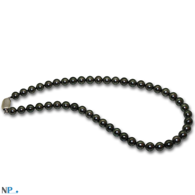 Collier de perles noires de tahiti, bien rondes très brillantes. qualite AAA